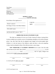 Fillable Online DISTRICT COURT CLARK COUNTY NEVADA Form Fill Out And