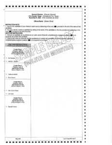 Frio County Precinct 4 Dilley ISD Voting Locations Calendar