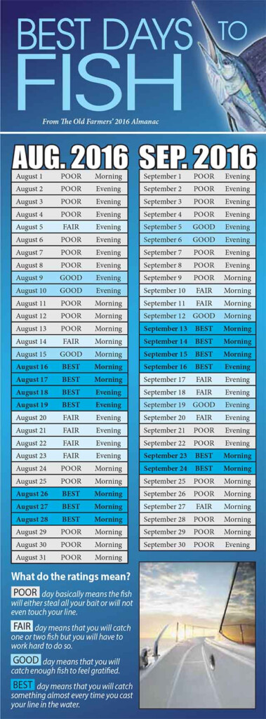 Roseau Court Calendar Customize And Print